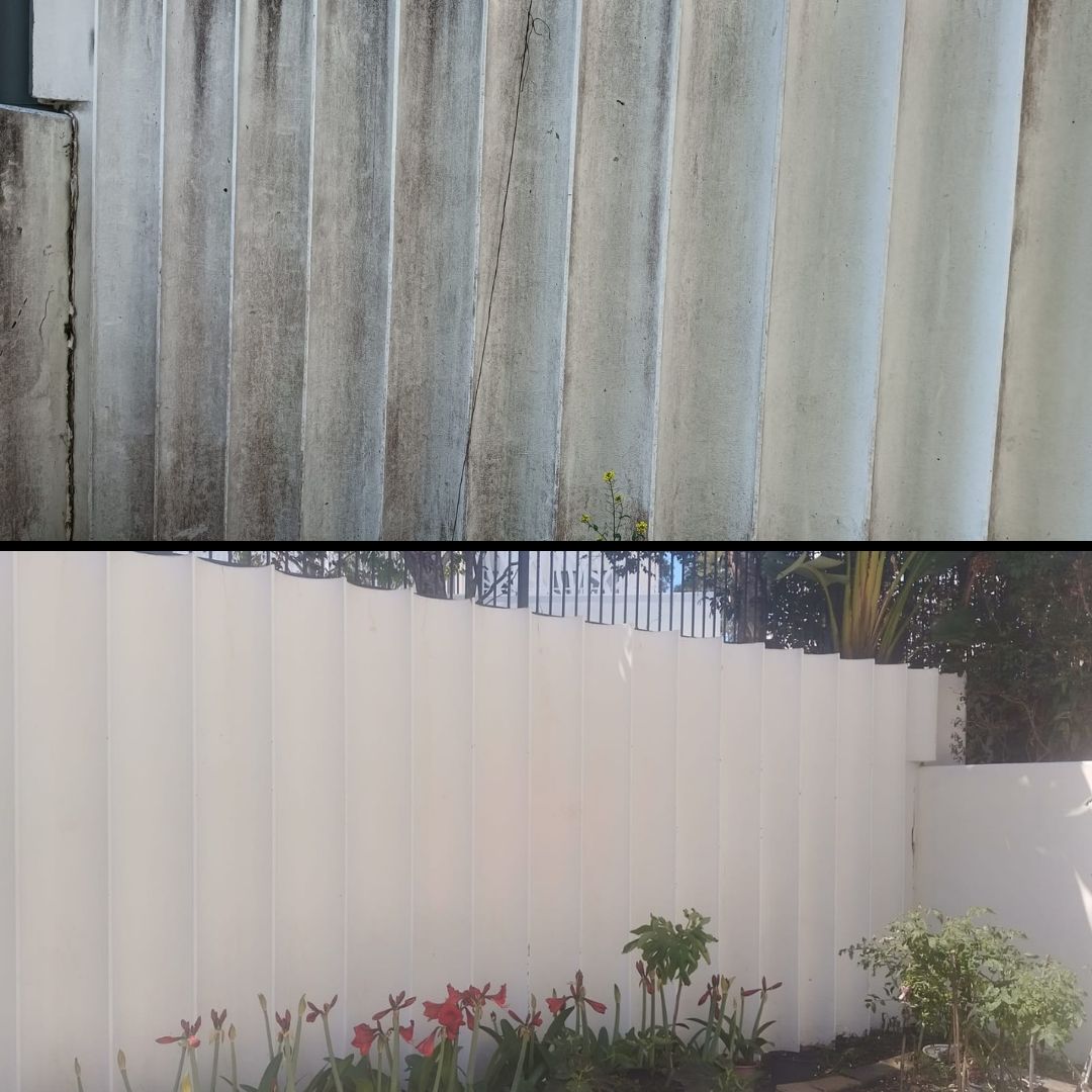 Colorbond Fence Soft Wash — No Repaint Required