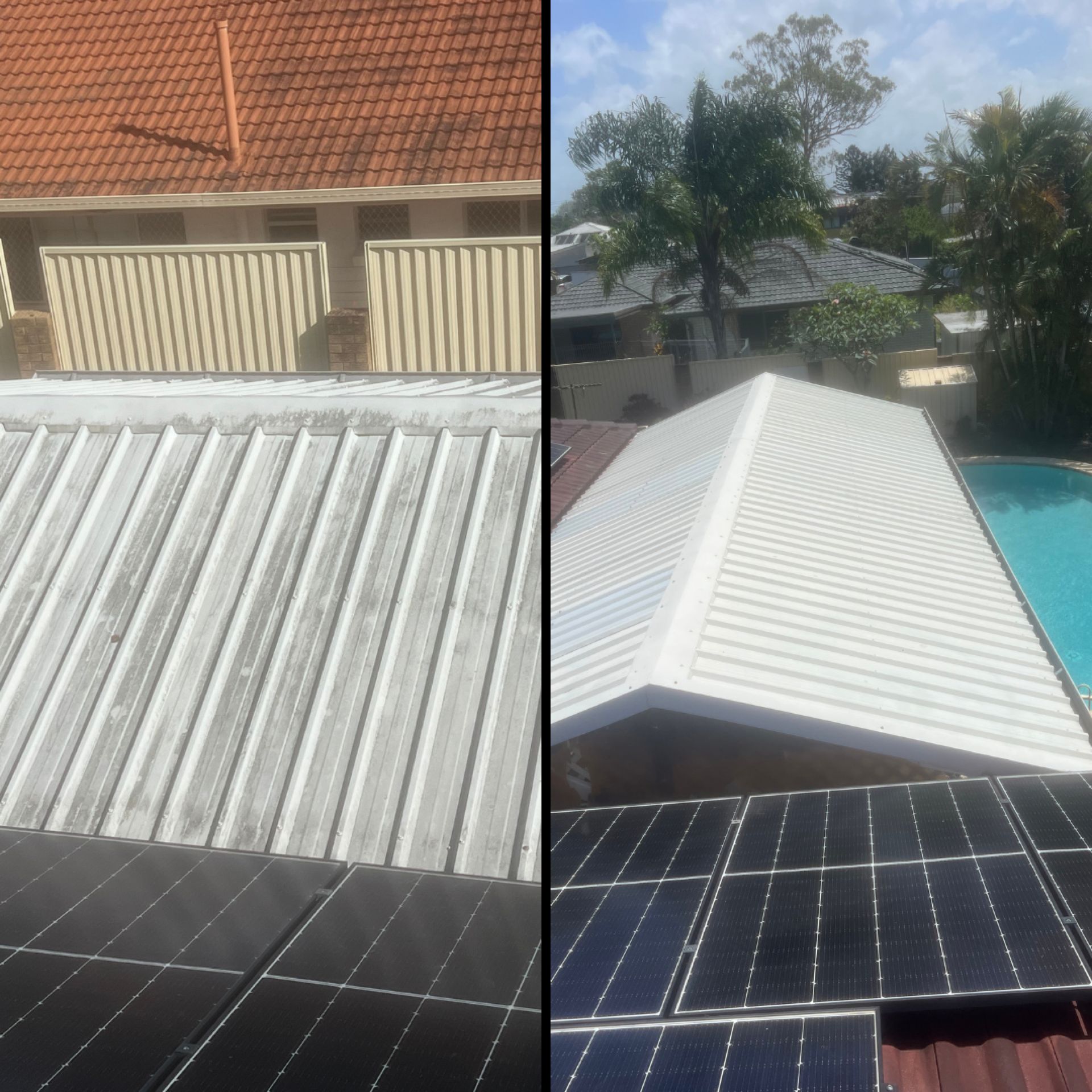 Colorbond Patio Roof Soft Wash — Gold Coast
