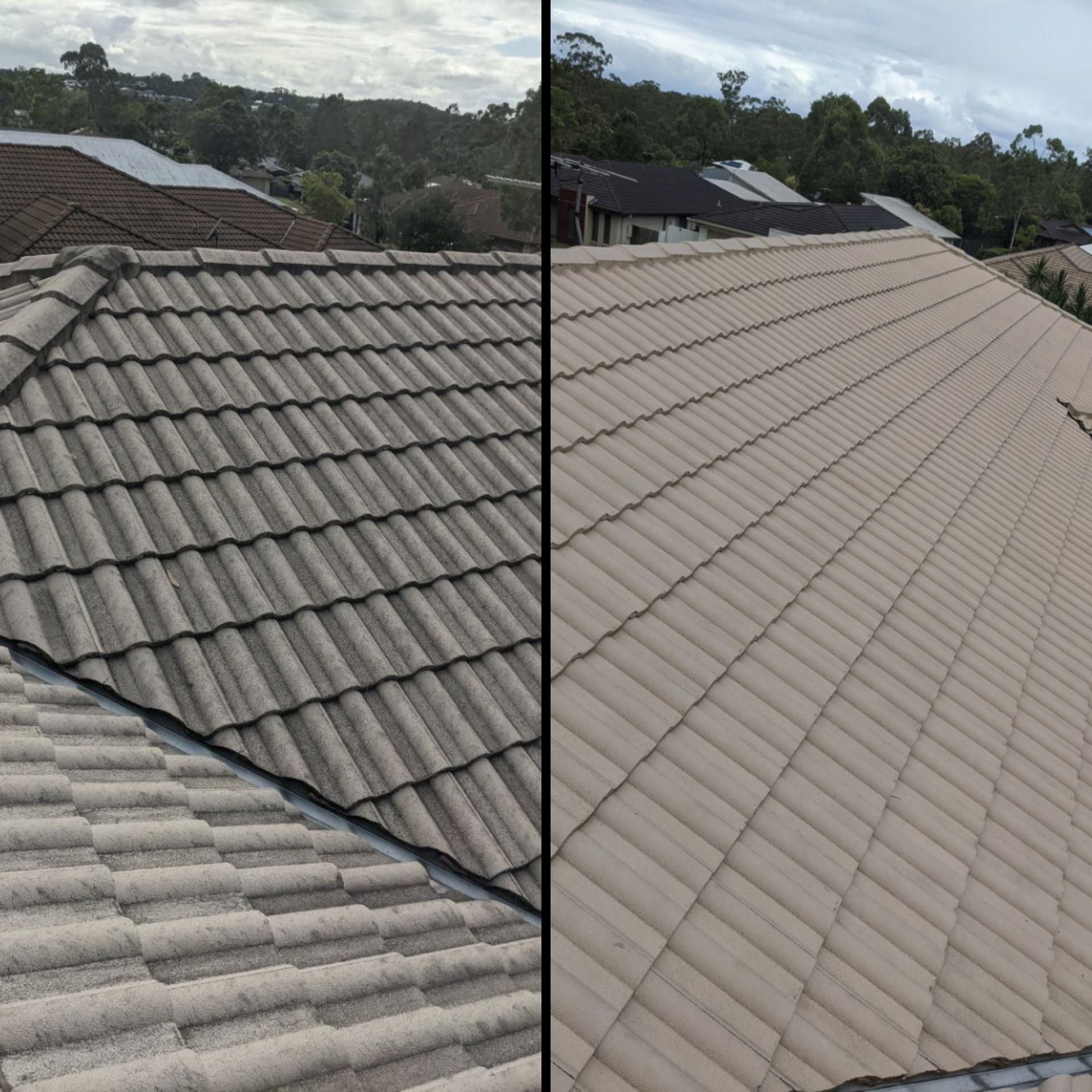 Beige Concrete Tile Roof Multi-Pass Soft Wash — Logan