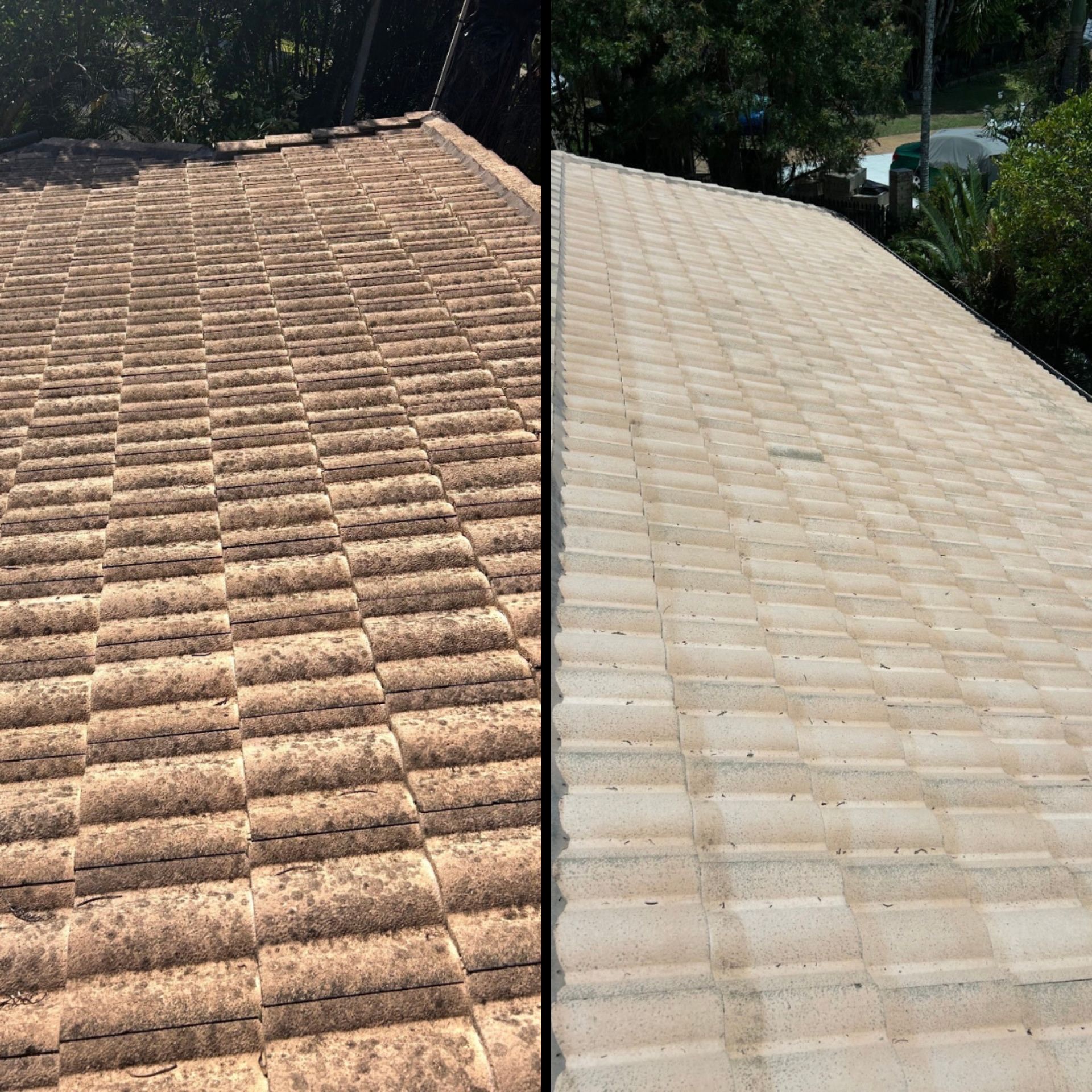 Concrete Tile Roof Soft Wash — Kingscliff Residential