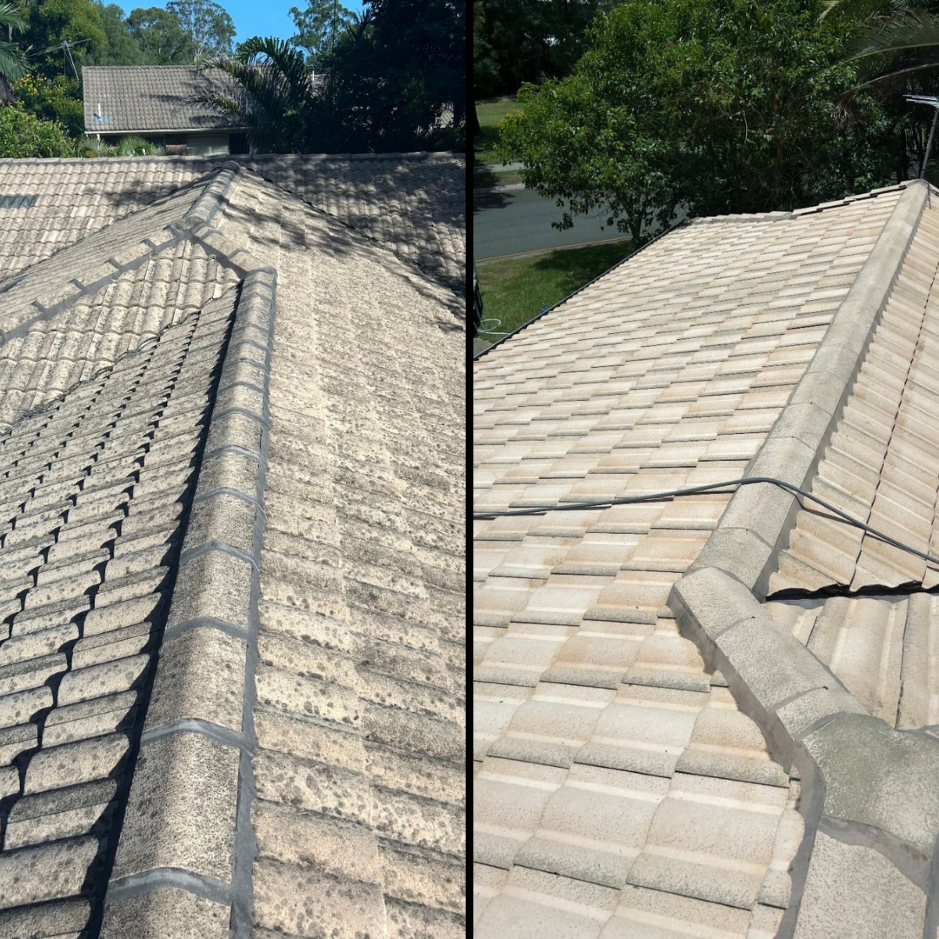 Concrete Tile Roof Soft Wash — Tweed Heads Residential