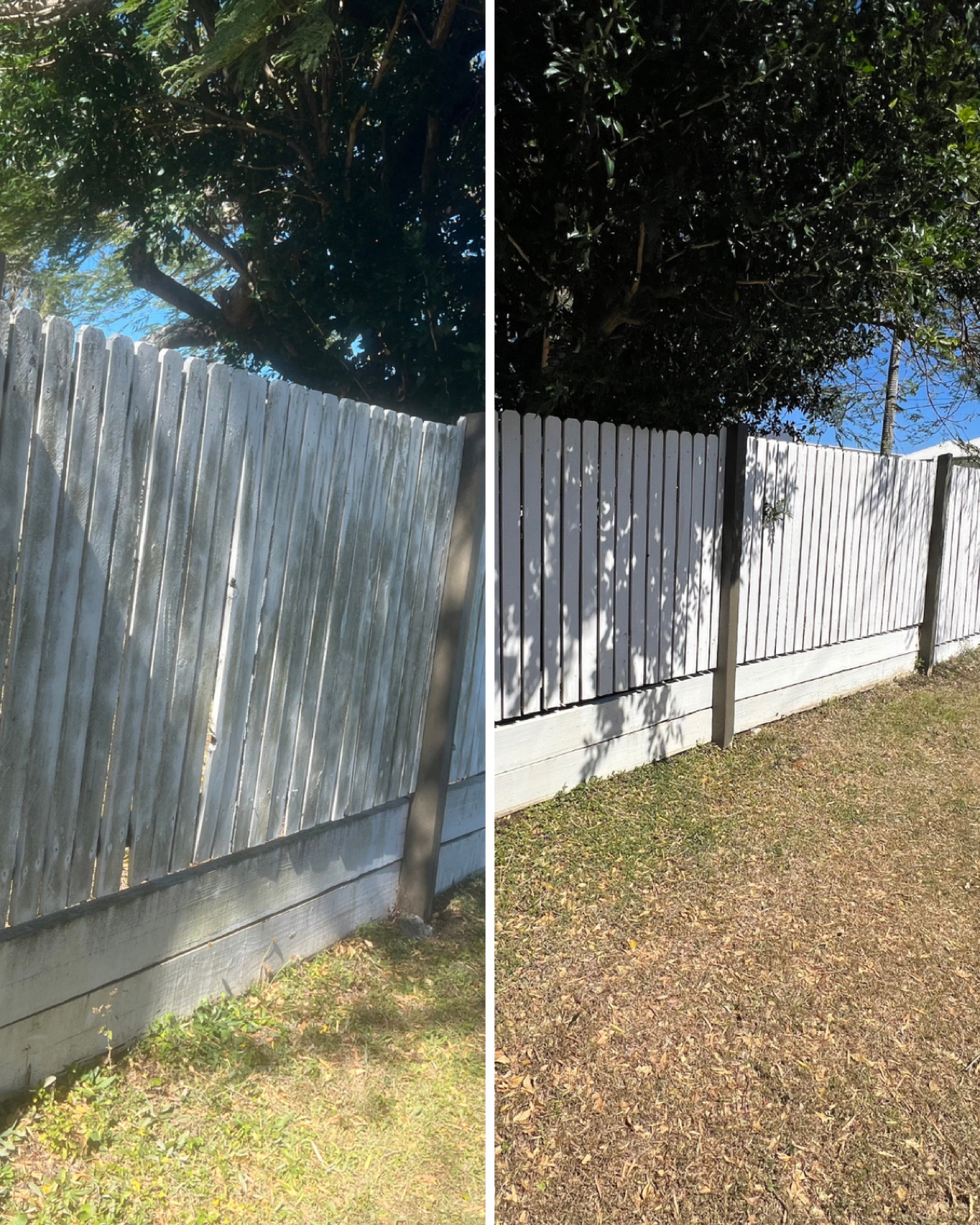 Fence Cleaning