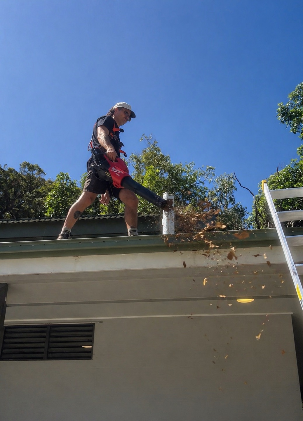 Gutter Cleaning