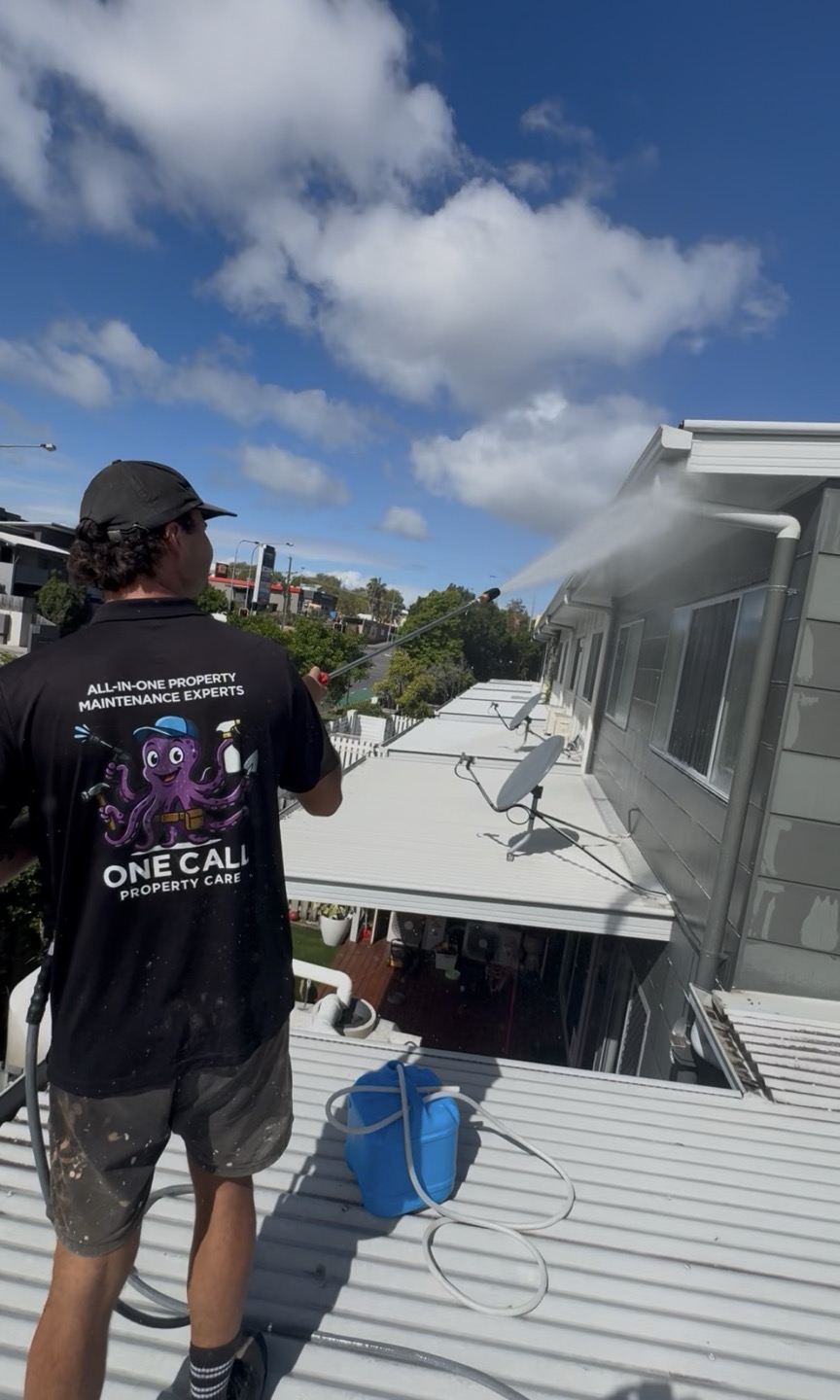 Roof & Fascia Soft Wash — Brisbane