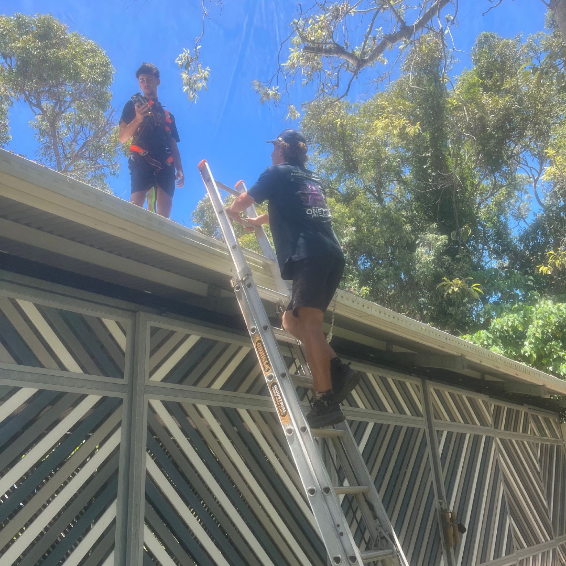 North Stradbroke Island Campsite Gutter Cleaning — 5 Sites, 30+ Buildings, One Day