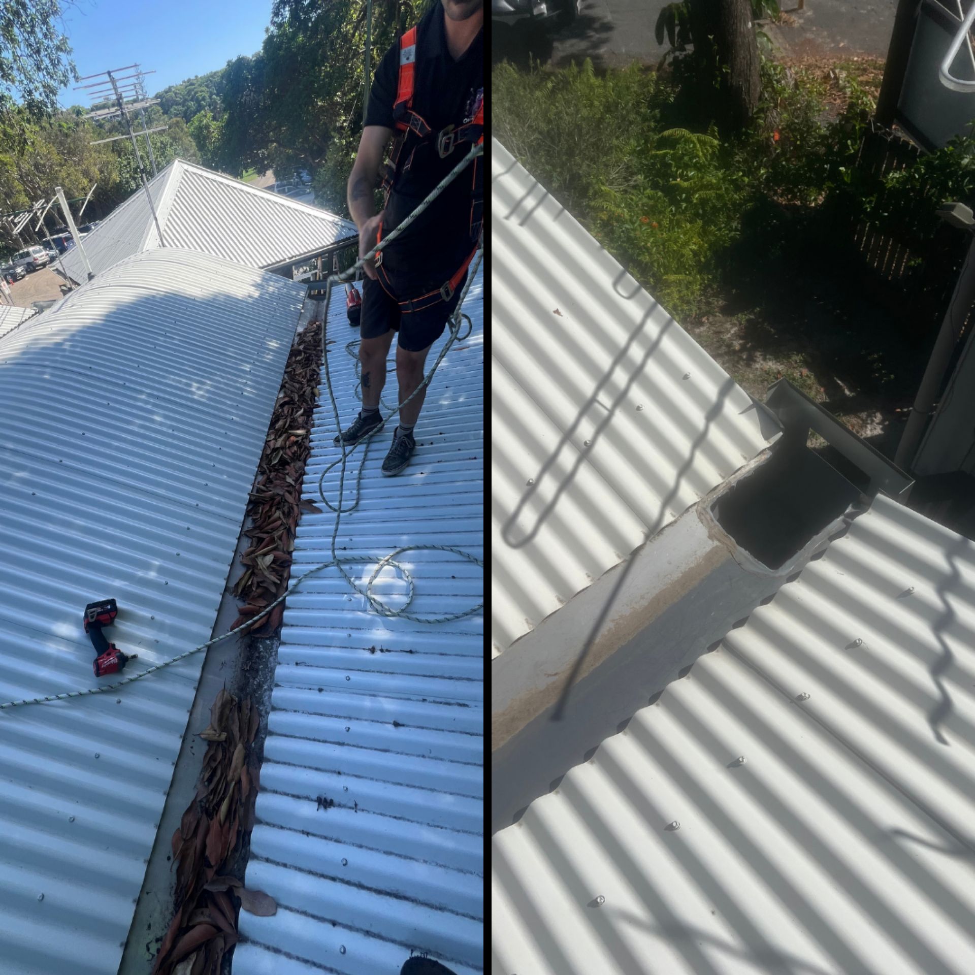 Action shot of a One Call technician in fall protection harness working on a Colorbond roof clearing a heavily leaf-loaded valley gutter at left, with a clean downpipe junction detail visible at right showing the corner outlet that was previously blocked