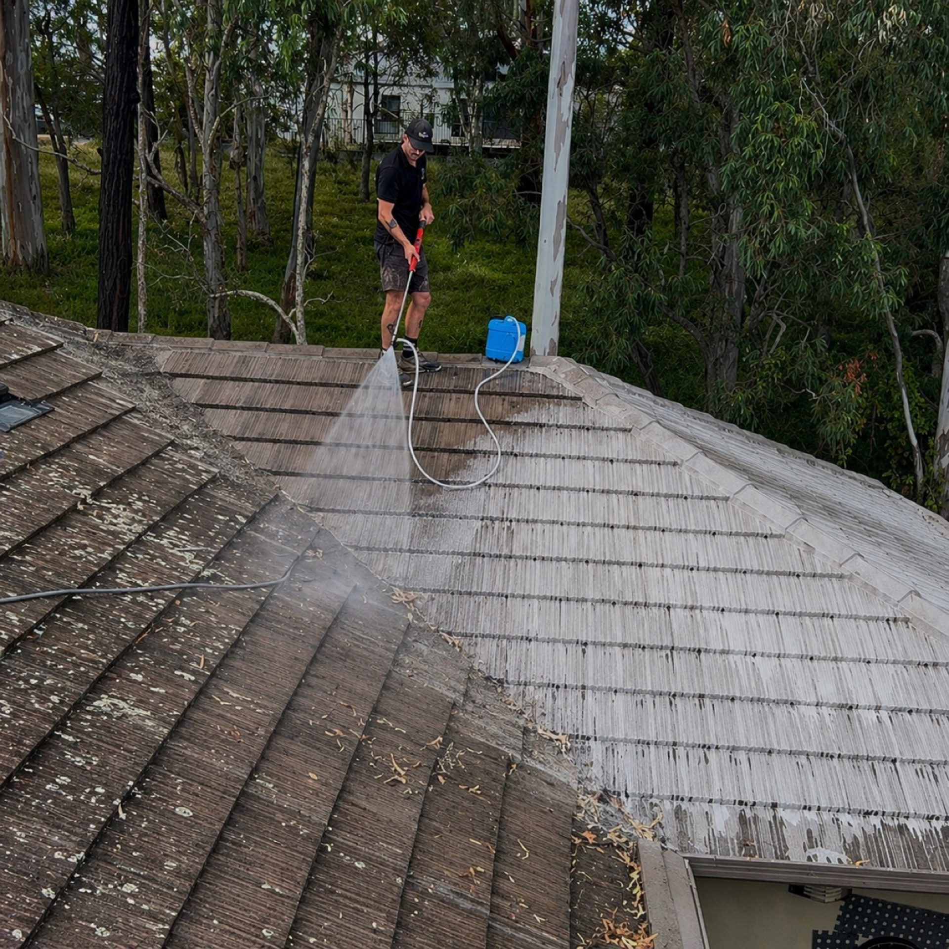 Roof Cleaning