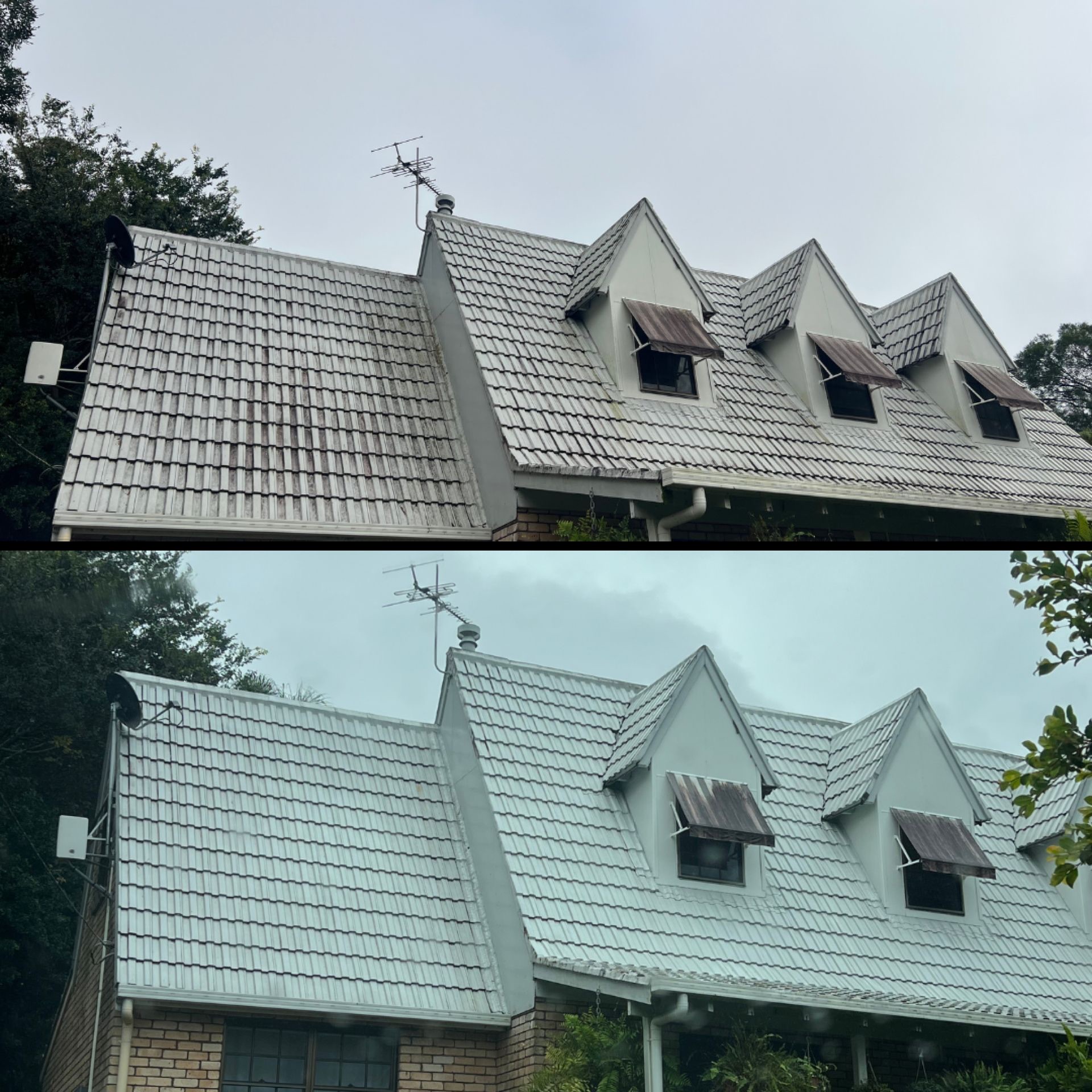 Steep-Pitch Tiled Roof Soft Wash — Character Home, Tamborine Mountain