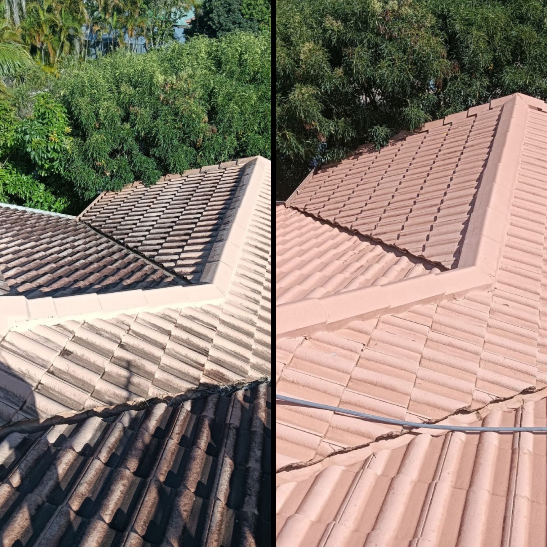 Tiled Roof Soft Wash — Brisbane